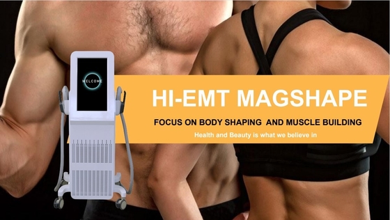 4 Handle RF EMS Machine Professional EMS Neo Machine  For Body Contouring
