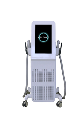 Professional Muscle Stimulator Machine 2000W EMS Machine For Muscle Growth