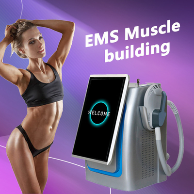 150HZ Frequency EMS Slimming Machine Professional For Enhanced Muscle Toning / Fat Burning