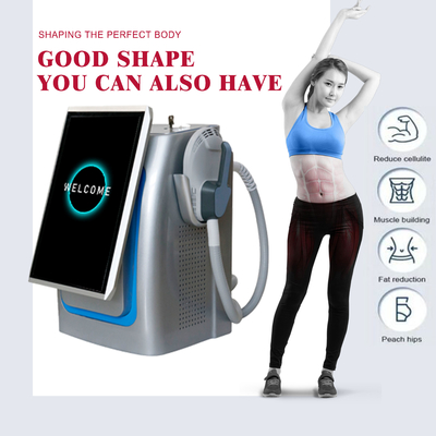 Electromagnetic Muscle Stimulation Machine Non Invasive RF Slim Beauty Machine 5000W For Weight Loss