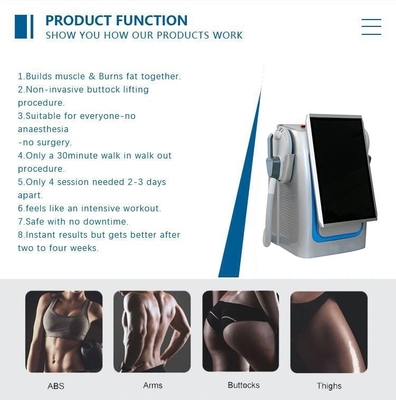 Electromagnetic Muscle Stimulation Machine Non Invasive RF Slim Beauty Machine 5000W For Weight Loss