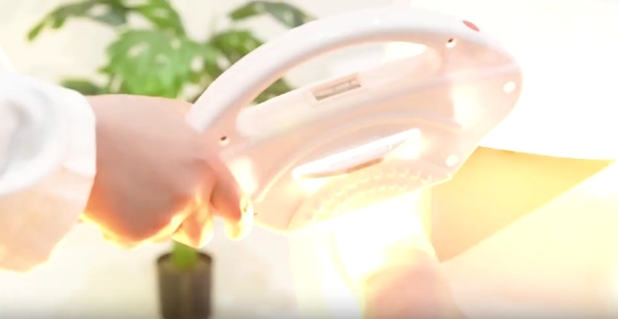 White Shell IPL Laser Hair Removal Machine For Skin Rejuvenation