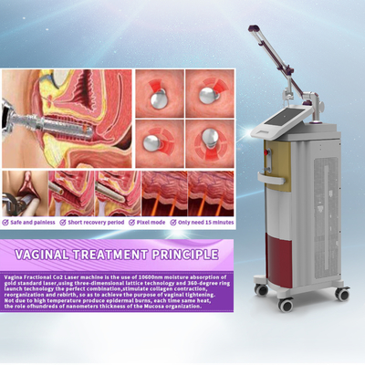 Portable CO2 Laser Fractional Machine 40W For Beauty Salon 2 Years Warranty