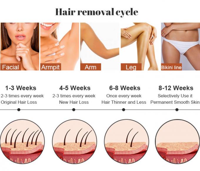 8.4inch Touch Screen IPL Hair Removal Machine For Beauty Salon / Cosmetic Salon 13
